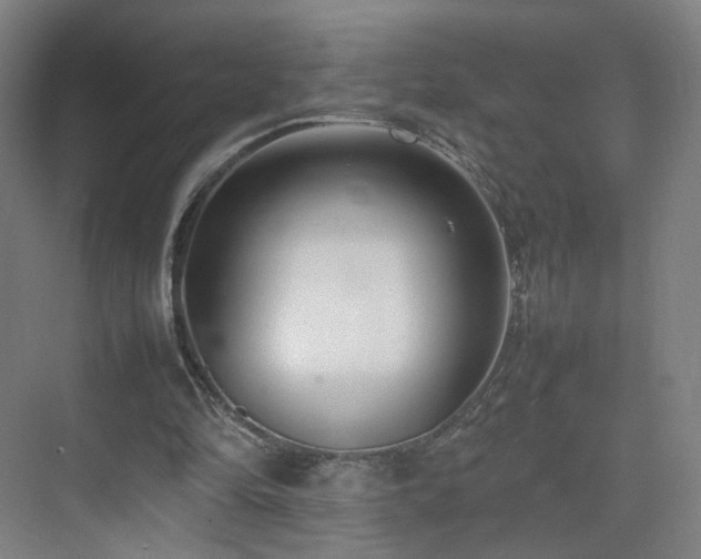 X0000074950294200609011128