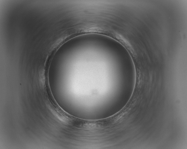 X0000074950298200609011127