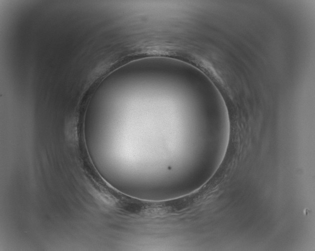 X0000074950299200609011127