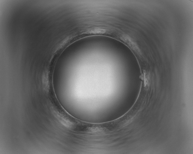 X0000074950300200609011127