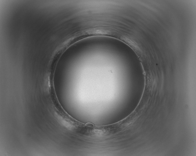 X0000074950302200609011127