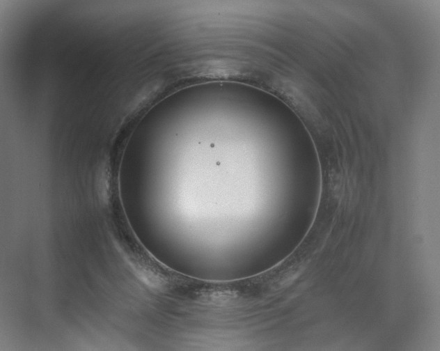 X0000074950304200609011127