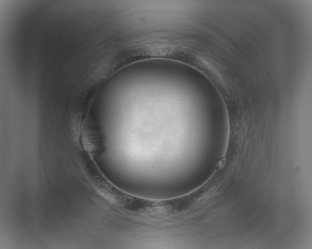 X0000074950307200609011127