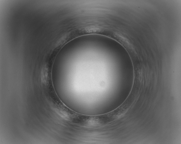 X0000074950308200609011127