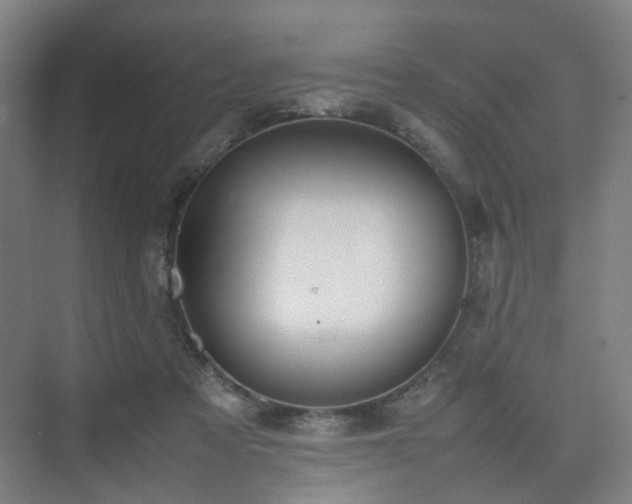 X0000074950313200609011127