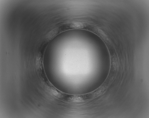 X0000074950322200609011127