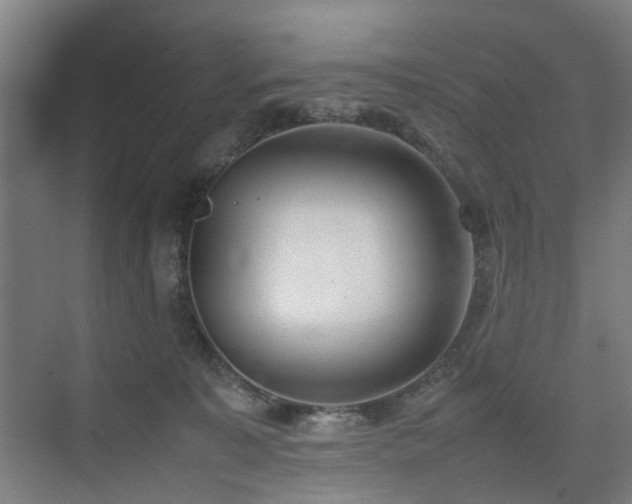 X0000074950323200609011127