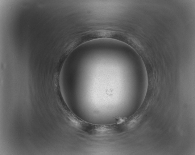 X0000074950325200609011127