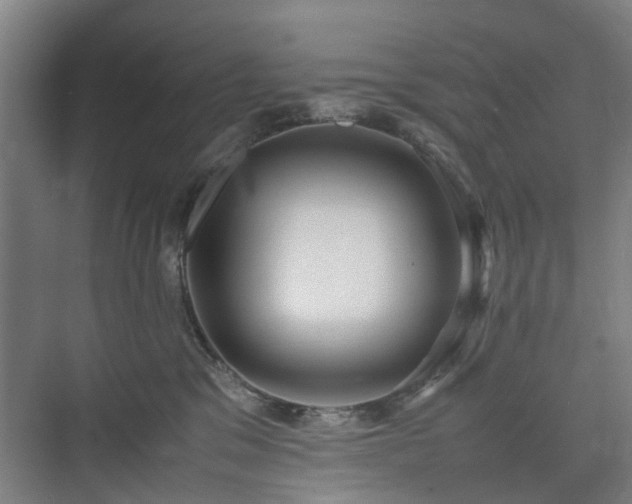 X0000074950329200609011127