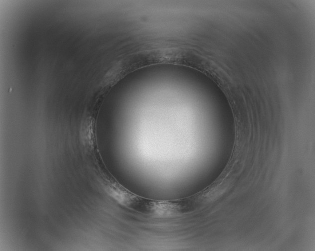 X0000074950336200609011127
