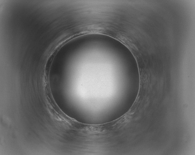 X0000074950338200609011126
