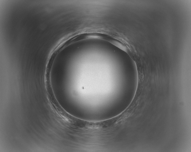 X0000074950340200609011126