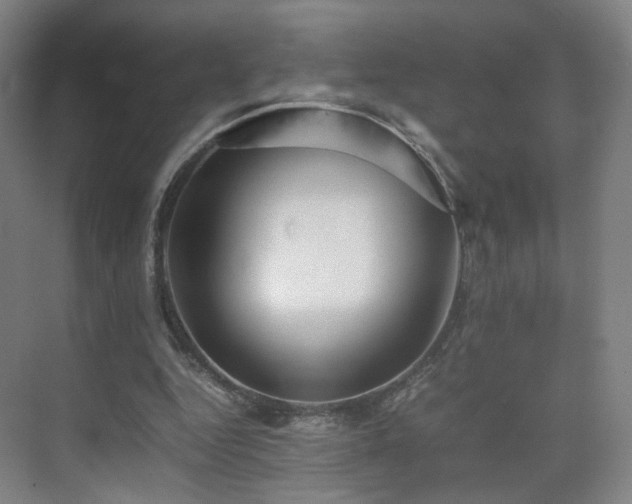 X0000074950344200609011126