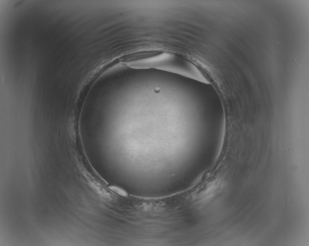X0000074950345200609011126