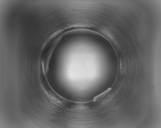 X0000074950348200609011126