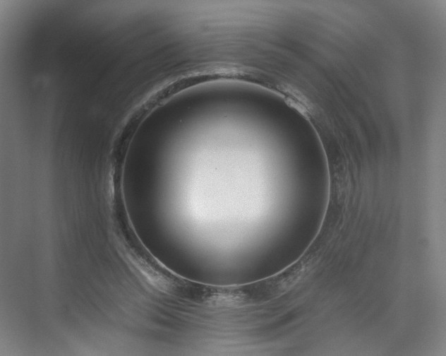 X0000074950350200609011126