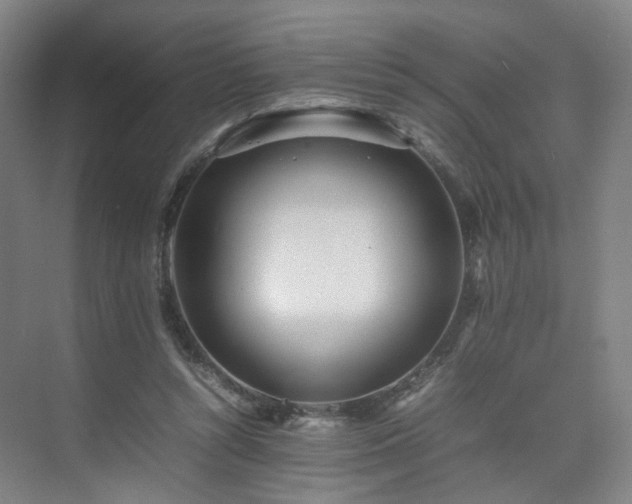 X0000074950352200609011126