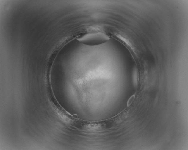 X0000074950353200609011126