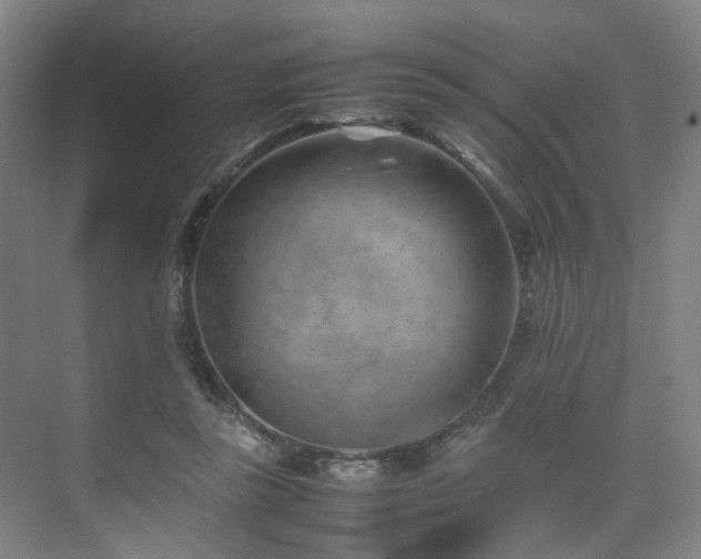 X0000074950355200609011126