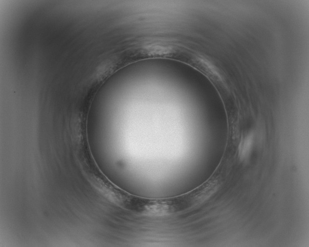 X0000074950362200609011126