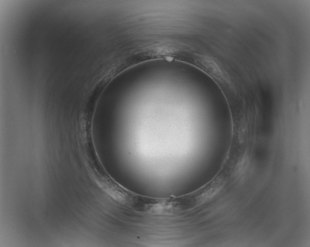 X0000074950366200609011126