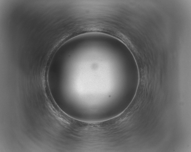 X0000074950386200609011126