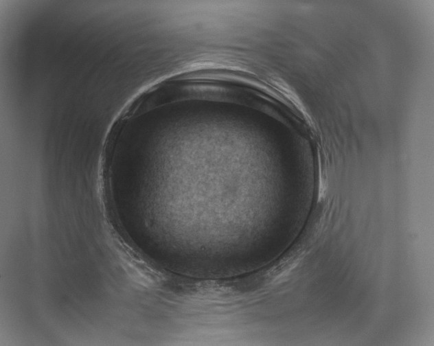 X0000074950387200609011126