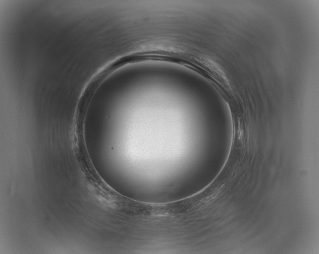 X0000074950388200609011126
