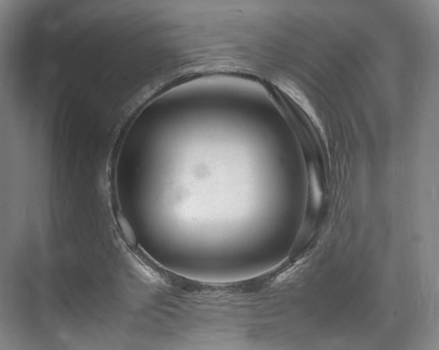 X0000074950389200609011126