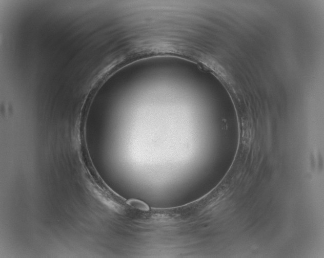 X0000074950390200609011126