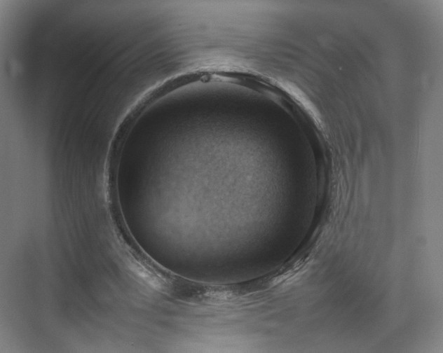 X0000074950391200609011126