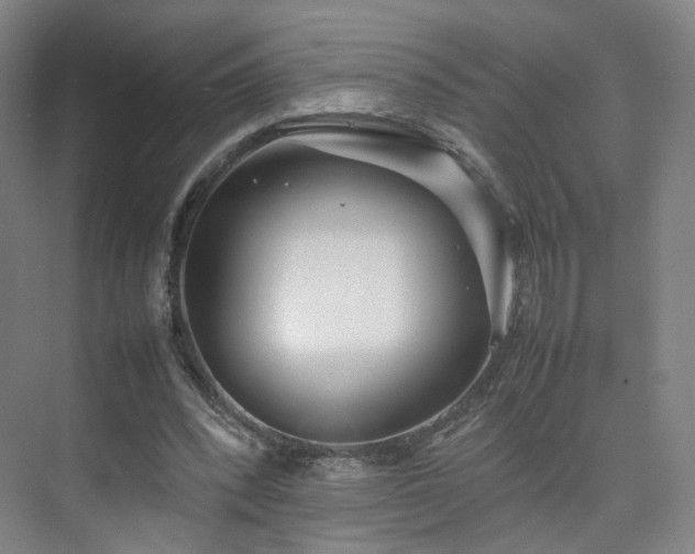 X0000074950392200609011126
