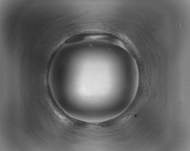 X0000074950393200609011126