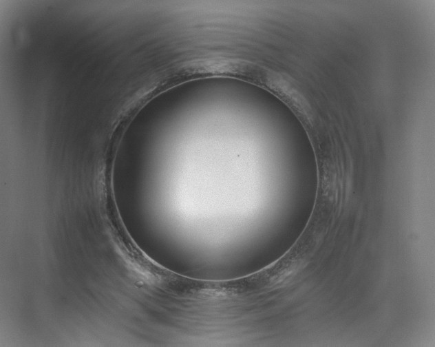 X0000074950394200609011126