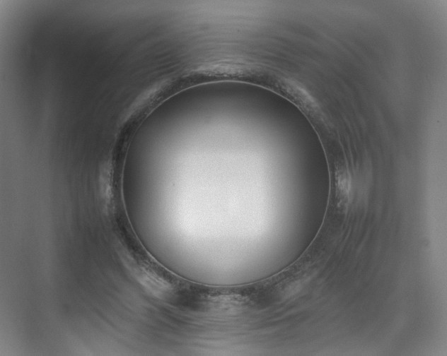 X0000074950396200609011126