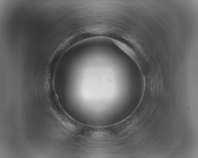 X0000074950400200609011126