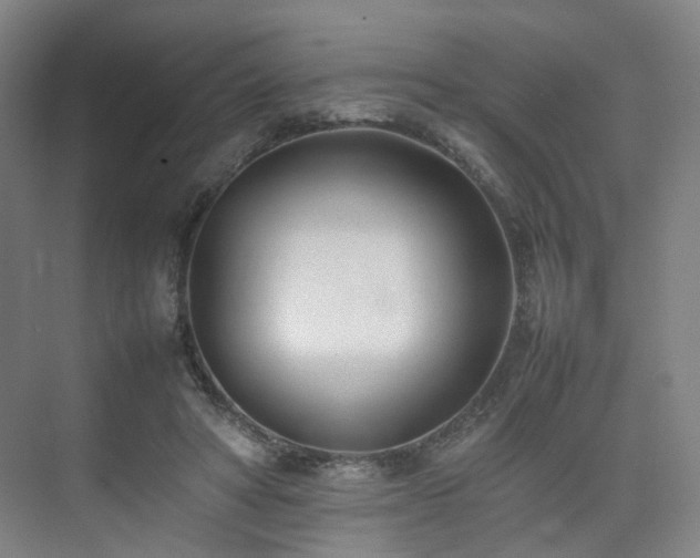 X0000074950402200609011126