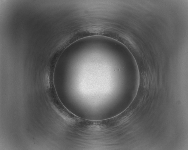 X0000074950404200609011126