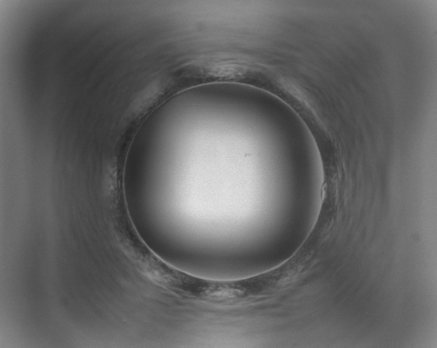 X0000074950407200609011126