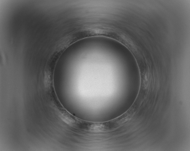 X0000074950410200609011126