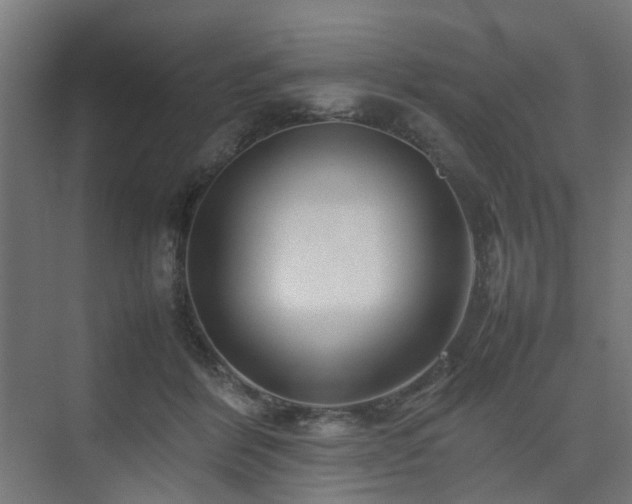X0000074950412200609011126
