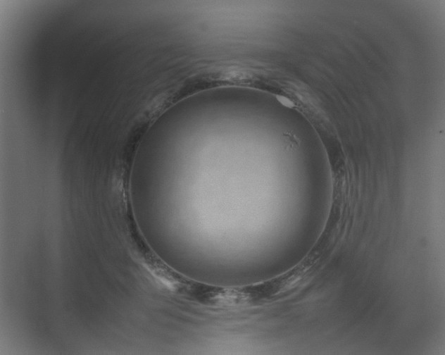 X0000074950415200609011125