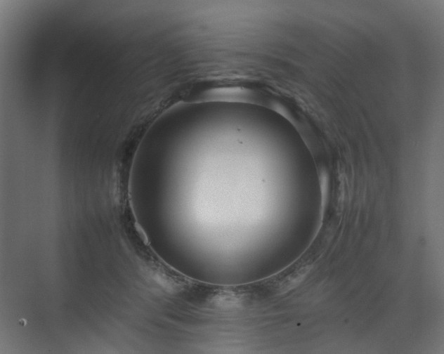 X0000074950416200609011125