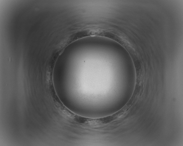 X0000074950417200609011125