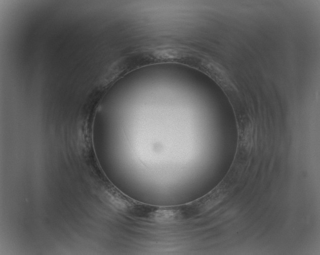 X0000074950418200609011125
