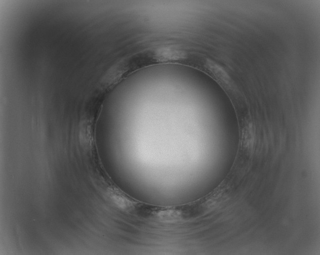 X0000074950426200609011125