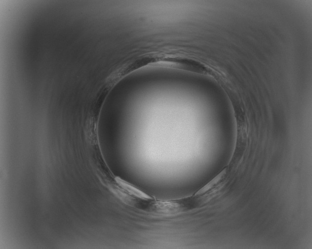 X0000074950429200609011125