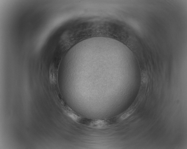 X0000074950431200609011125