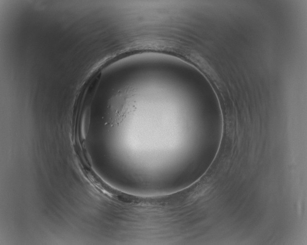 X0000074950434200609011124