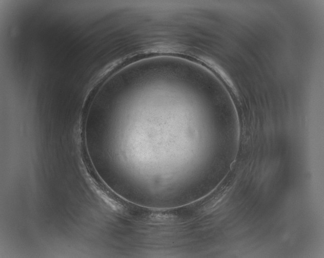 X0000074950437200609011124